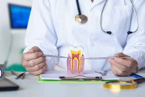 Best Urgent Dental Care for Toothaches in Granville, WV